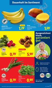 Lidl Prospekt - Jetzt neu: Lidl Punke