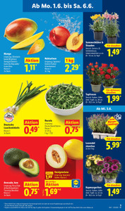 Lidl Prospekt - Jetzt neu: Lidl Punke