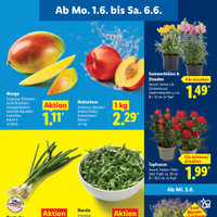 Lidl Prospekt Seite 13