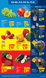 Lidl Prospekt - Sparen beim Preisführer