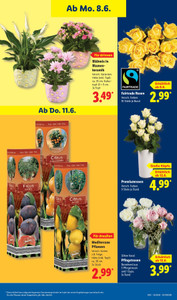 Lidl Prospekt - Sparen beim Preisführer