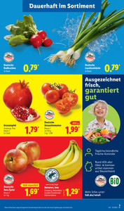Lidl Prospekt - Deutschlands günstigstes Eis