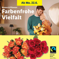 Lidl Prospekt Seite 68