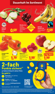 Lidl Prospekt - XXL