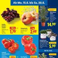 Lidl Prospekt Seite 3