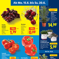 Lidl Prospekt Seite 3