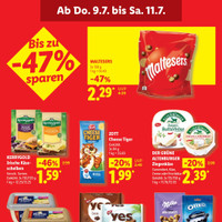 Lidl Prospekt - Käse