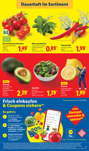 Lidl Prospekt - Lohnt sich.