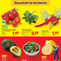 Lidl Prospekt Seite 3