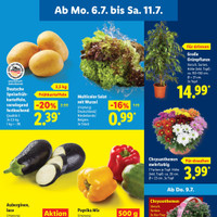 Lidl Prospekt Seite 3