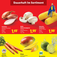 Lidl Prospekt Seite 3