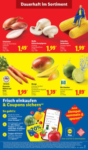 Lidl Prospekt - Angebote ab 13.07.