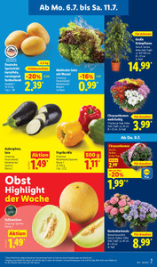 Lidl Prospekt - Angebote ab 06.07.