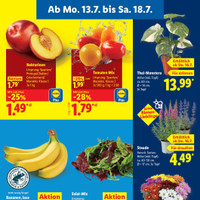 Lidl Prospekt Seite 3