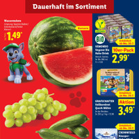 Lidl Prospekt Seite 3
