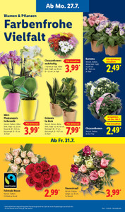 Lidl Prospekt - Lohnt sich.