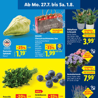 Lidl Prospekt Seite 3