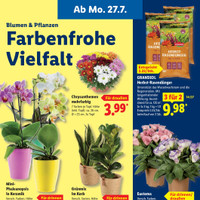Lidl Prospekt Seite 7