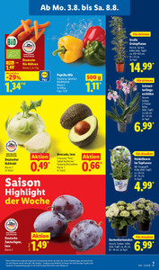 Lidl Prospekt - Angebote ab 03.08.