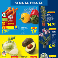 Lidl Prospekt Seite 3