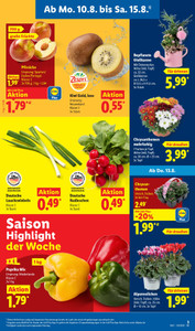 Lidl Prospekt - Angebote ab 10.08.