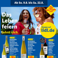 Lidl Prospekt - Handy & Smartphone