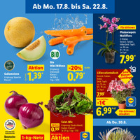 Lidl Prospekt Seite 3