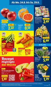 Lidl Prospekt - XXL
