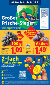 Lidl Prospekt - XXL - Seite 2