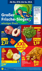 Lidl Prospekt - XXL