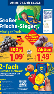 Lidl Prospekt - XXL - Seite 2