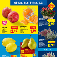 Lidl Prospekt Seite 3