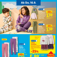 Lidl Prospekt Seite 43