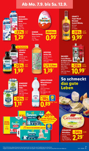 Lidl Prospekt - Lohnt sich.