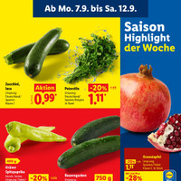 Lidl Prospekt Seite 3