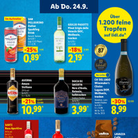 Lidl Prospekt Seite 53