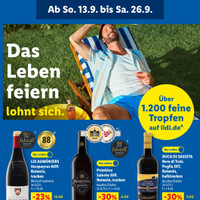 Lidl Prospekt Seite 56