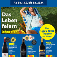 Lidl Prospekt Seite 56