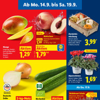 Lidl Prospekt Seite 3
