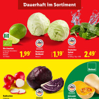 Lidl Prospekt Seite 3