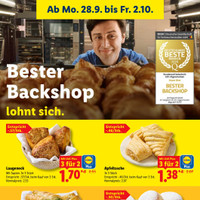 Lidl Prospekt Seite 10