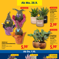 Lidl Prospekt Seite 25
