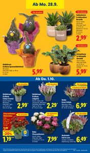Lidl Prospekt - Angebote ab 28.09.