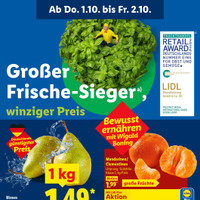 Lidl Prospekt Seite 60