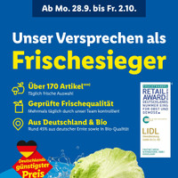 Lidl Prospekt Seite 2