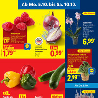 Lidl Prospekt Seite 3