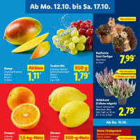 Lidl Prospekt - Obst & Gemüse