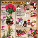 Hornbach Prospekt Seite 3