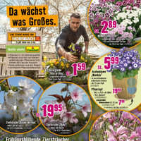 Hornbach Prospekt Seite 2