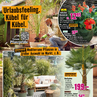 HORNBACH Prospekt - Blumen